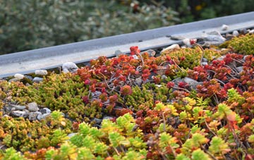 the cost of Upper Ludstone green roof installation